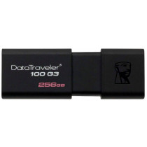 USB флешка Kingston DataTraveler 100 G3 256GB