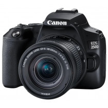 Зеркальный фотоаппарат Canon EOS 250D Kit 18-55 мм STM Wifi