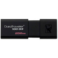 USB флешка Kingston DataTraveler 100 G3 256GB