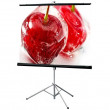 Экран для проектора Draper Consul AV 70"х70" 178x178 MW 